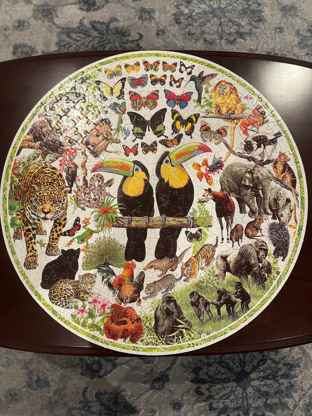 Wildlife Jigsaw Puzzle – 360 pieces